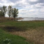 Dit is het Giethoornsche meer. Een heel fraai meer waar de wandeling best wel lang langs liep.