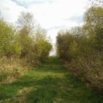 Het lijkt hier wel of de hele wereld in brand staat, maar het waren maar kleine rietbrandjes.