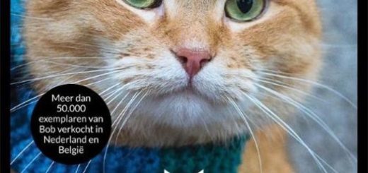 Boek : James Bowen - Bob de Straatkat