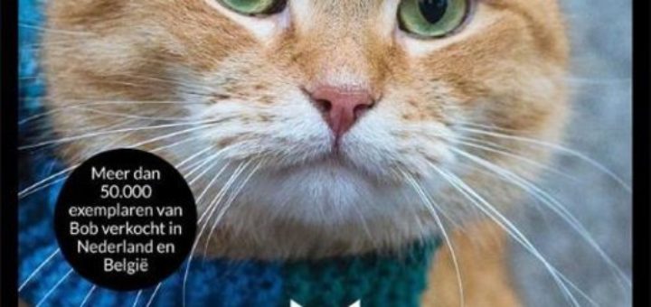 Boek : James Bowen - Bob de Straatkat