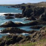 Basalt van Arnarstapi