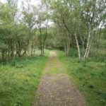 Aan het begin van de wandeling liepen wij door dit mooie bos.