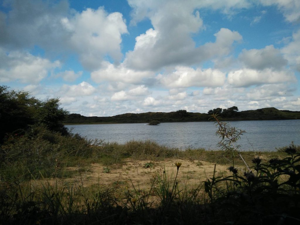 Het Duinmeer gezien vanuit de vogelhut.