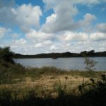 Het Duinmeer gezien vanuit de vogelhut.