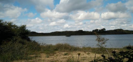 Het Duinmeer gezien vanuit de vogelhut.