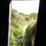 Dit is de toegang tot de vogelhut, gezien vanuit de vogelhut.