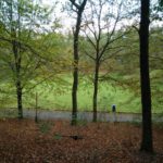 Ook hele mooie uitzichten, als deze op een stuk gras, kwamen wij tegen.