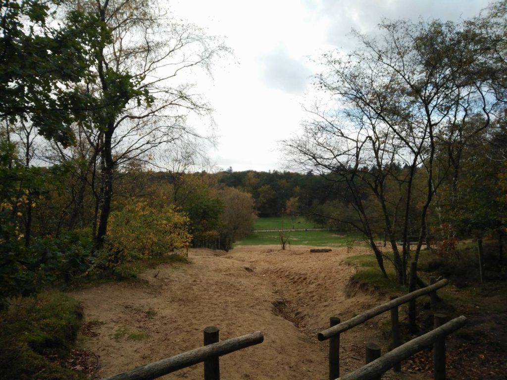 De wandeling kwam langs het Doornse Gat. Een heel fraai stukje recreatieterrein.