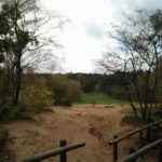 De wandeling kwam langs het Doornse Gat. Een heel fraai stukje recreatieterrein.