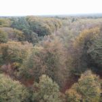 Een heel fraai uitzicht vanaf de uitzichttoren De Kaap.