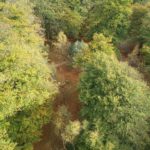Vanaf uitzichttoren De Kaap had je dit hele fraaie uitzicht op het bos beneden.