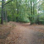 De wandeling ging door hele mooie bossen. De herfst is al begonnen.