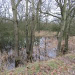 In Kampina was ook dit ondergelopen gebied.