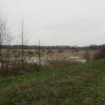 Over deze hele mooie grasdijk liep de wandeling, langs een stuk ondergelopen gebied.