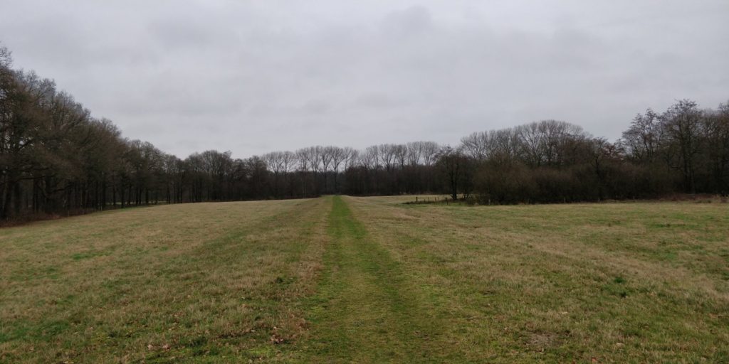 Dit was echt een hele mooie grasdijk.