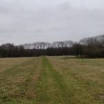 Dit was echt een hele mooie grasdijk.