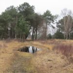 Dit was een leuk pad. Deze was plas nog de kleinste die wij moesten oversteken.