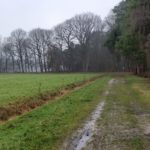 Dit zompige boerenweggetje leidde ons naar een volgend deel van de wandeling.