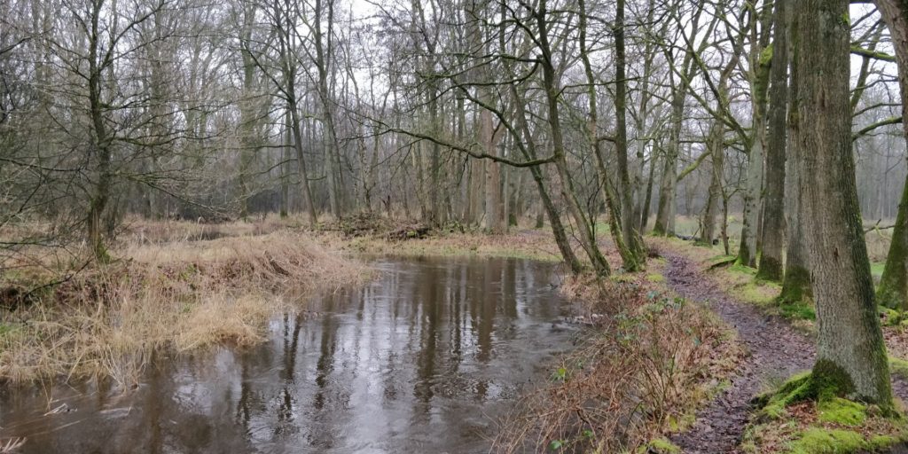 Op het einde van de wandeling liepen wij ook nog langs het beekje De Beerze.
