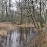 Op het einde van de wandeling liepen wij ook nog langs het beekje De Beerze.