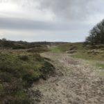 Dit uitzicht hadden wij in de duinen.
