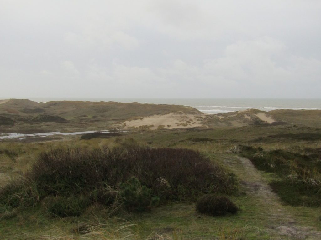 Dit uitzicht hadden op De Kerf.