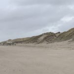 De wandeling ging ook nog een stukje over het strand.