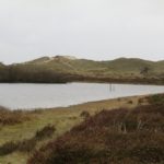Dit is een heel fraai duinmeer, waar de wandeling langs liep.