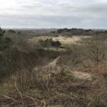 Dit fraaie uitzicht hadden wij op de duinen.