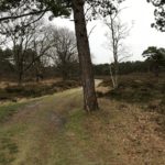 Dit mooie pad mochten wij ook bewandelen.