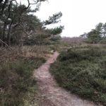 Dit mooie pad mochten wij ook bewandelen.