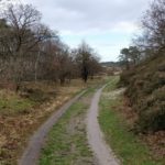 De Schoorlsche Duinen zijn gewoon een heel mooi gebied.