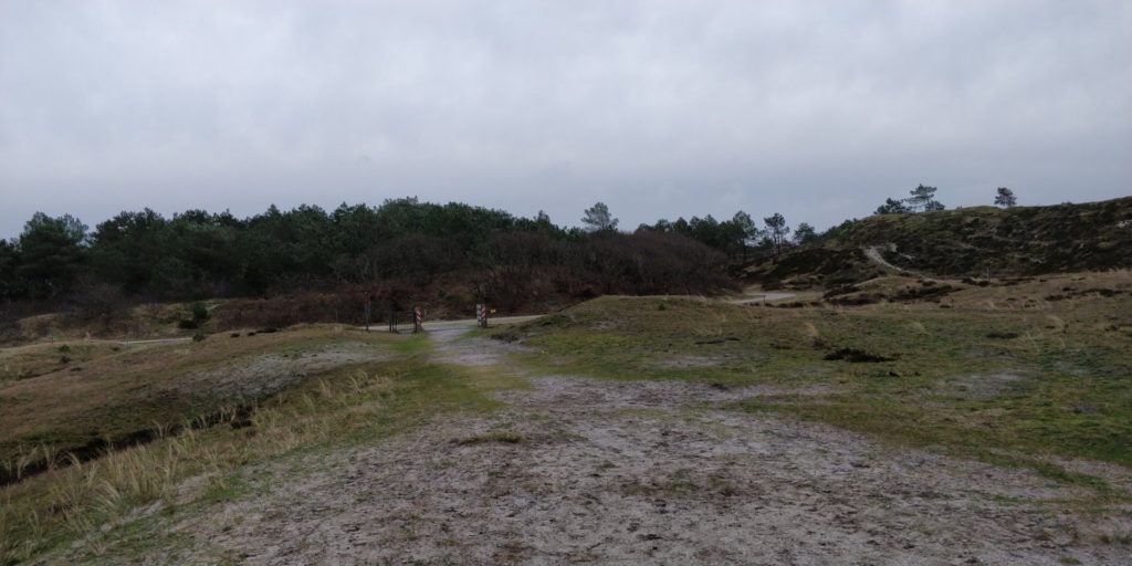 De Schoorlsche Duinen zijn gewoon een heel mooi gebied.