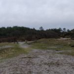 De Schoorlsche Duinen zijn gewoon een heel mooi gebied.