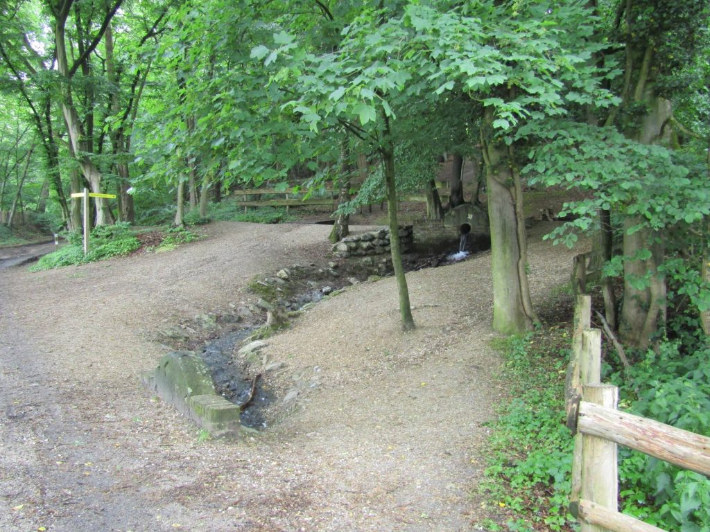 Het begin van een mooie wandeling door het bos en langs een beekje