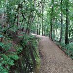 Een heel fraai pad langs een hele mooie beek