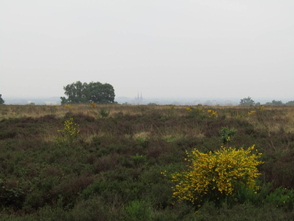 De Mookerheide met in de verte nog een paar fraaie torens