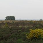 De Mookerheide met in de verte nog een paar fraaie torens