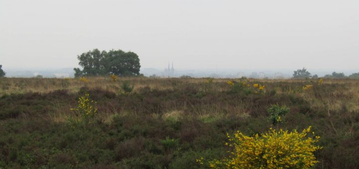 De Mookerheide met in de verte nog een paar fraaie torens