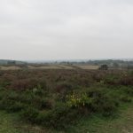 Zelfs in Mei is de Mookerheide fraai