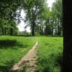 Dit is een mooi paadje door een mooi gebied