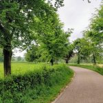 Dit was een mooi weggetje dat omzoomd werd met mooie velden