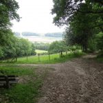Midden in het bos hadden wij in eens dit uitzicht