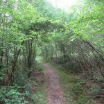 Dit paadje werd omzoomd door krom gegroeide struiken, fraai!