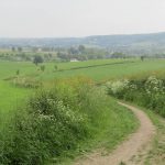 En dit zie je dan als je het bos uit gelopen komtq