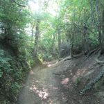 Aan mooie paadjes geen gebrek, zo ook deze