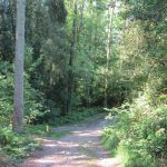 En ineens weer een mooi paadje midden in het bos