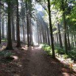 Ook dit paadje was heel erg fraai, mede door de lichtval