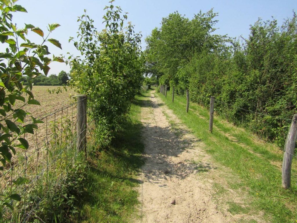 Dit was op zich een mooi paadje, maar door het ontbreken van schaduw, was het erg heet