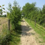 Dit was op zich een mooi paadje, maar door het ontbreken van schaduw, was het erg heet